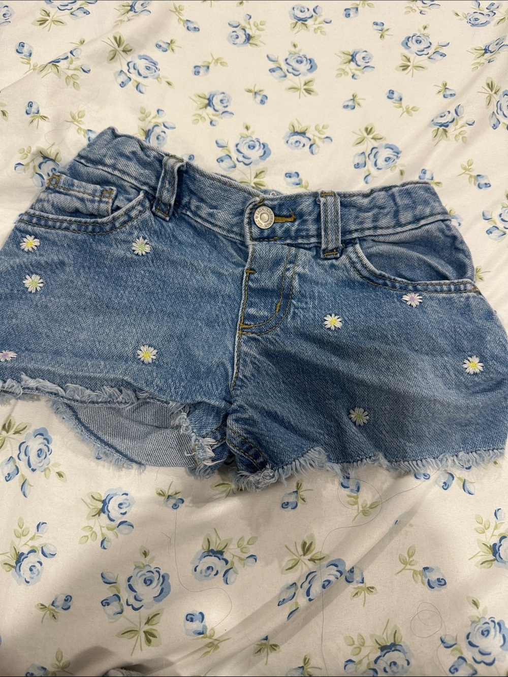 Blue Daisy Embroidered Denim Shorts - Girl’s Cute Summer Short